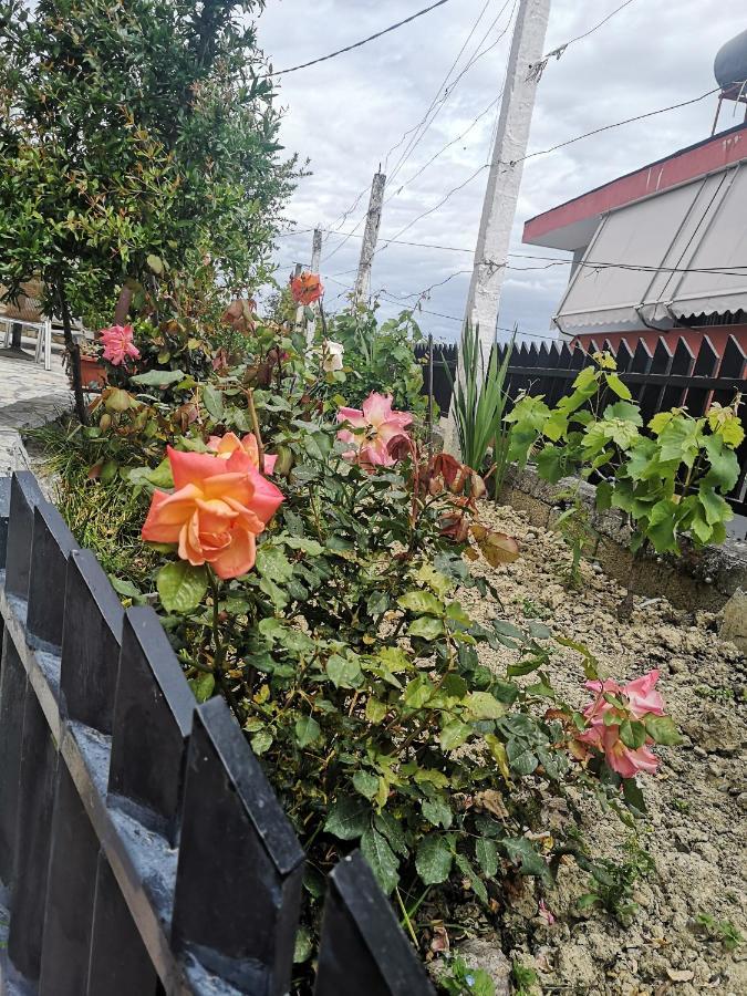 Private House Durres Vila Quarto foto